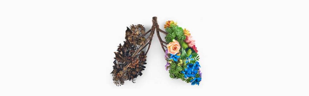Healthy and unhealthy lungs depicted in flowers one side and twigs the other